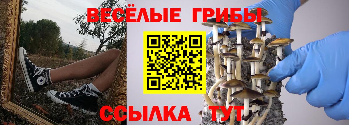 Галлюциногенные грибы GOLDEN TEACHER  Вход с VPN  Обь 